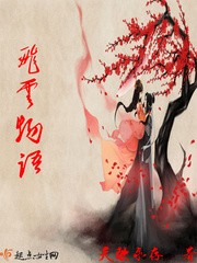 飞云物语封面