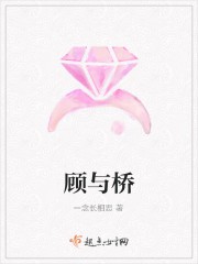 顾与桥封面