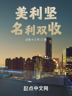 美利坚名利双收封面