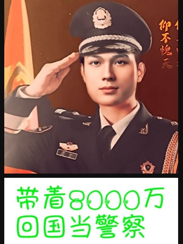 带着8000万,回国当警察封面