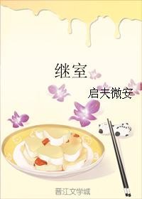 继室封面