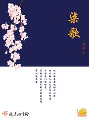 柒歌封面