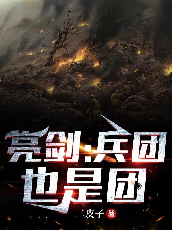 亮剑:兵团也是团封面
