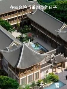 在四合院当采购员的日子封面