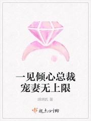 一见倾心总裁宠妻无上限封面