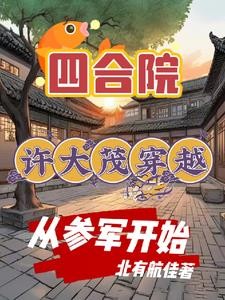 四合院:特种兵穿越参军航空报国封面