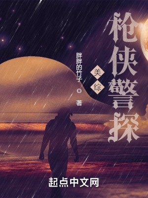 北美枪侠警探封面