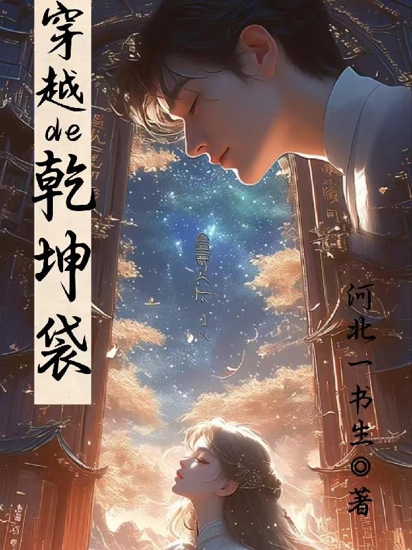 穿越的乾坤袋封面