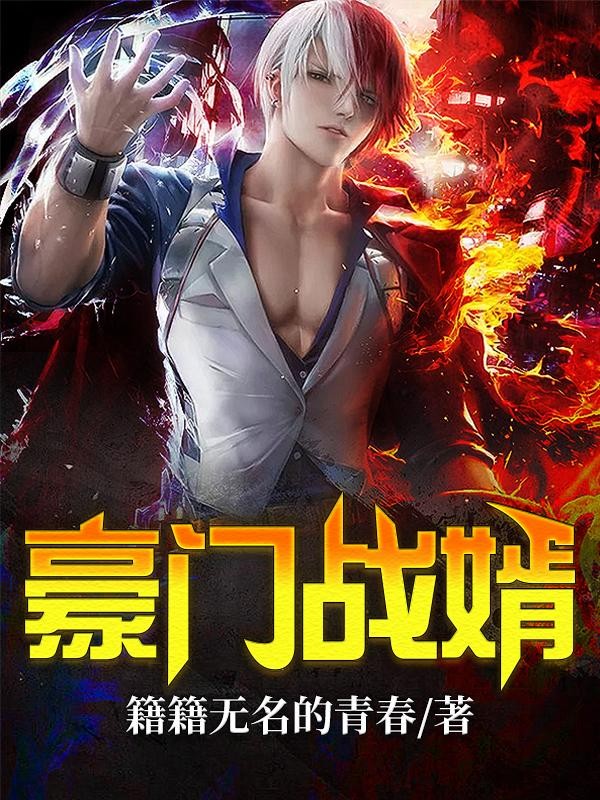 豪门战婿封面