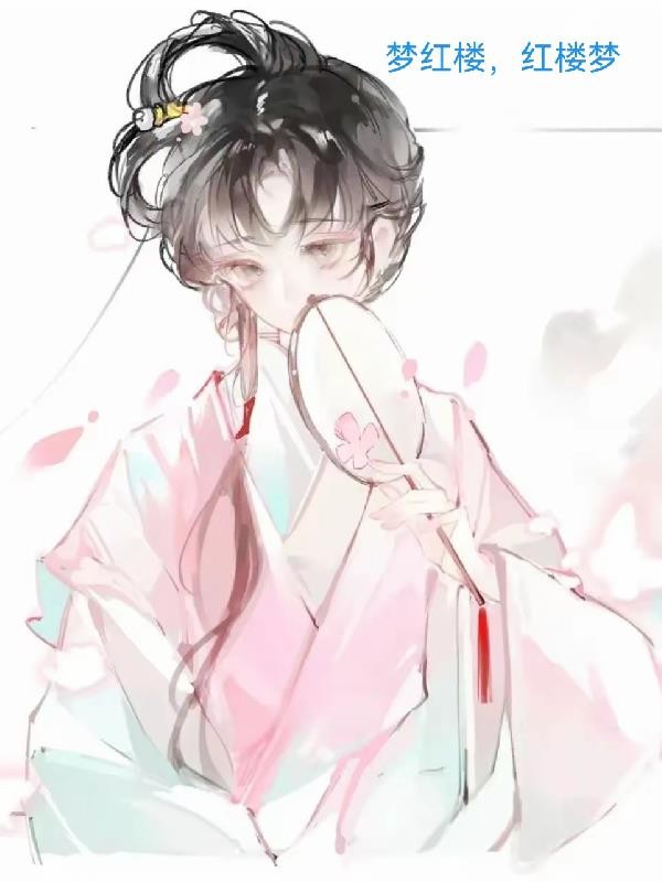 梦红楼,红楼梦封面