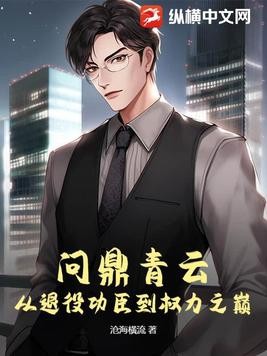 问鼎青云:从退役功臣到权力之巅封面