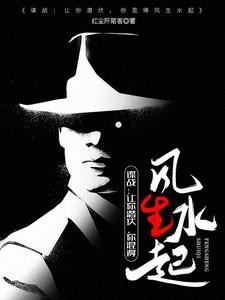 谍战不站队,孤狼搅动上海滩风云封面
