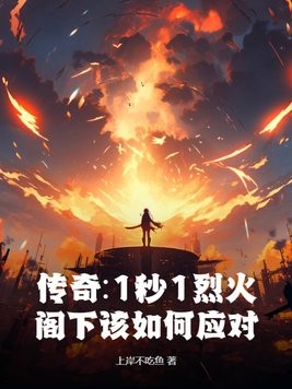 传奇:1秒1烈火,阁下该如何应对封面