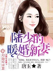 陆少的暖婚新妻封面