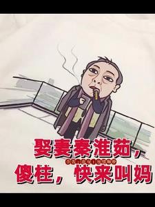四合院,满院都是我下的崽封面