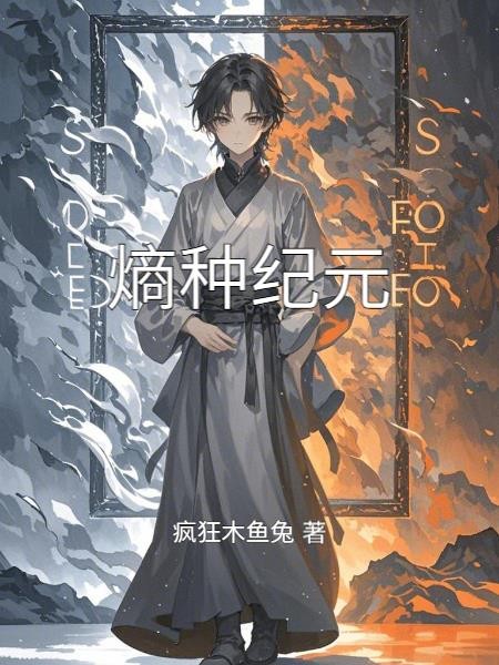 熵种纪元封面