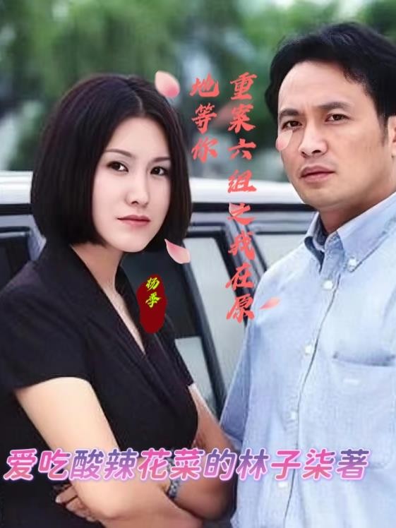 重案六组之我在原地等你封面