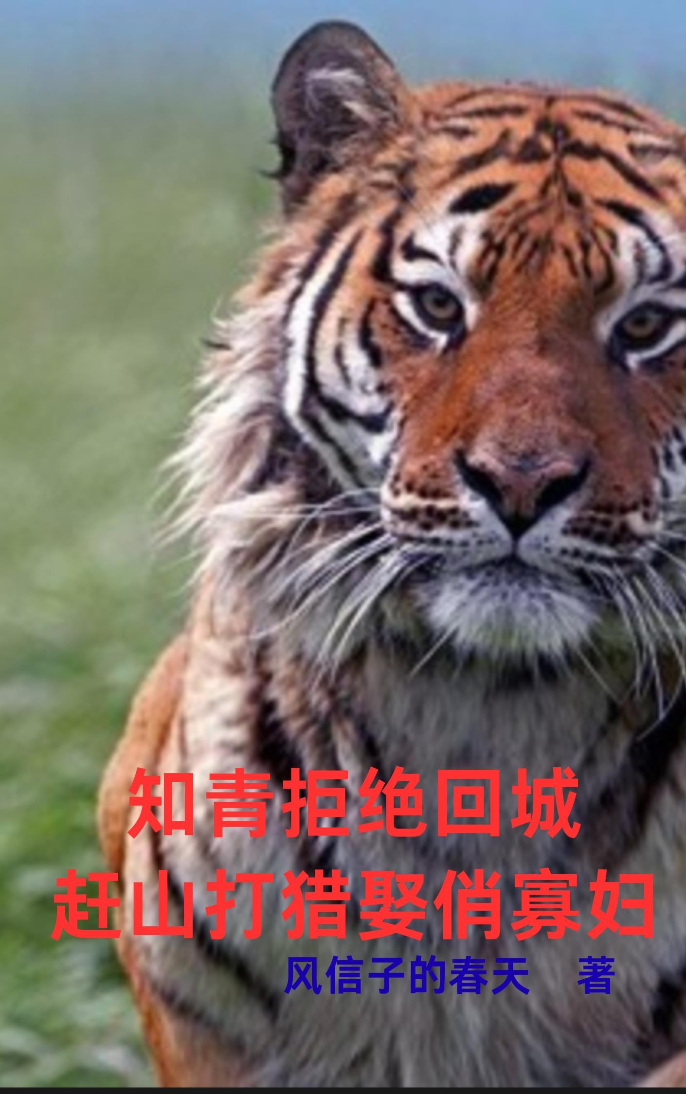 知青拒绝回城:赶山打猎娶俏寡妇封面
