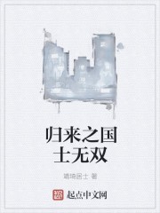 归来之国士无双封面