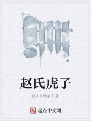 赵氏虎子封面