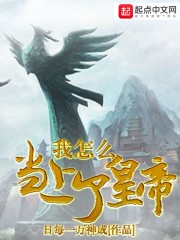 我怎么当上了皇帝封面