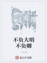 不负大明不负卿封面