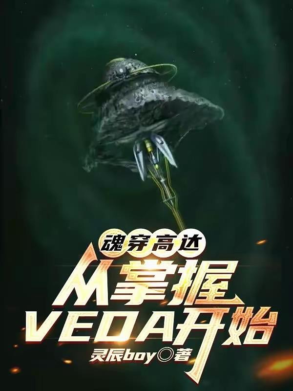 魂穿高达:从掌握VEDA开始封面