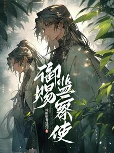 御赐监察使封面