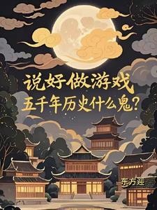 说好做游戏,五千年历史什么鬼?封面