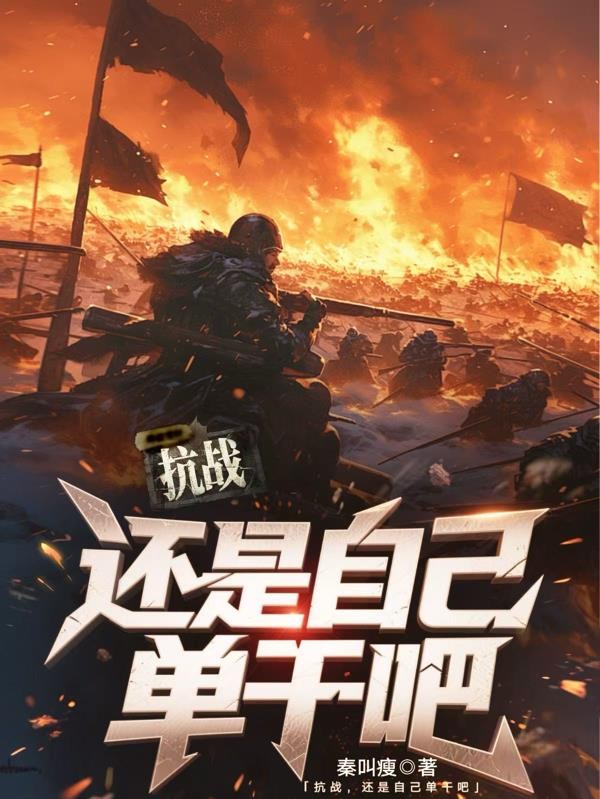 抗战,还是自己单干吧封面