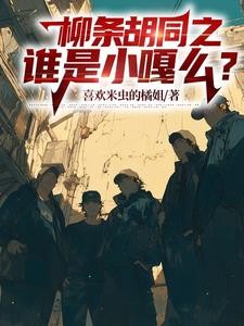 柳条胡同之谁是小嘎么?封面