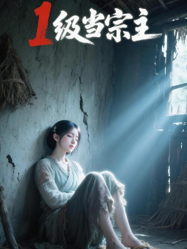 1级当宗主封面