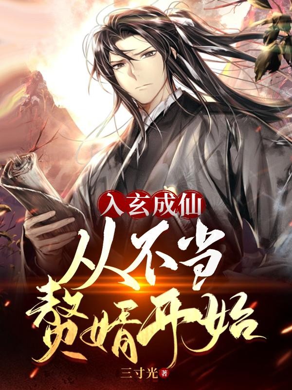 入玄成仙,从不当赘婿开始封面