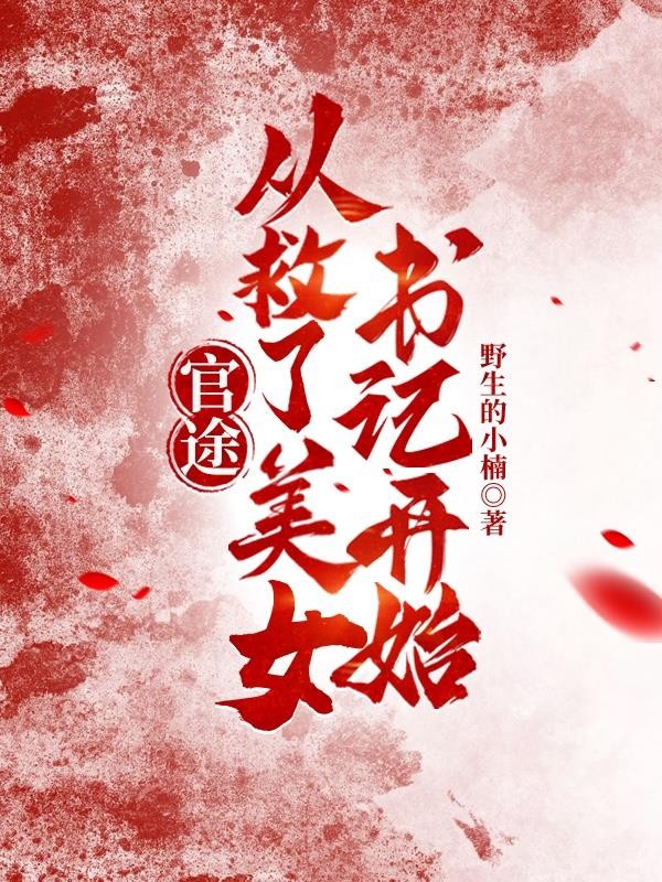 官途:从救了美女书记开始封面