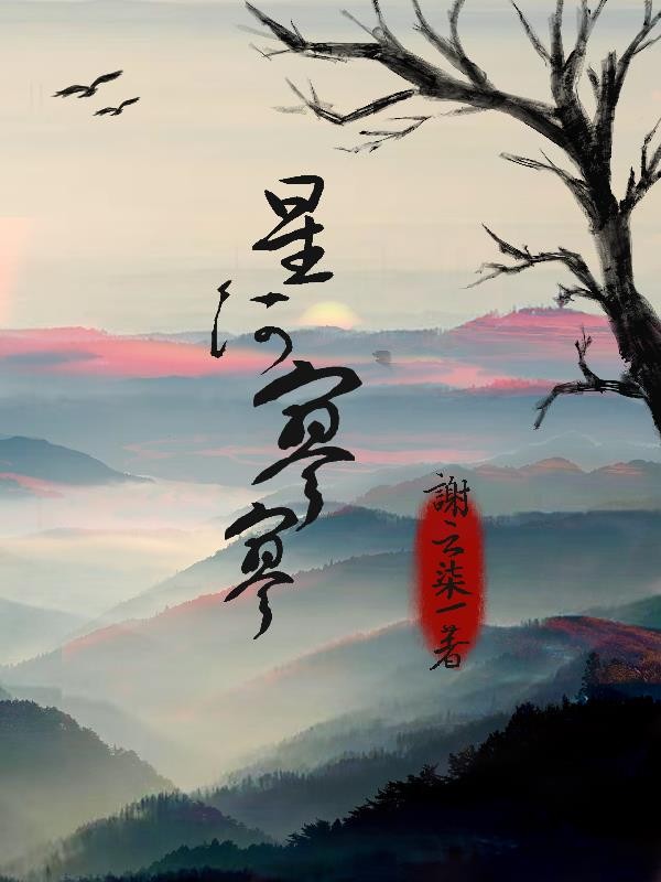 星河寥寥封面