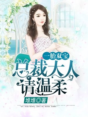 一胎双宝:总裁大人,请温柔封面