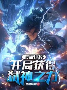灵气复苏:开局获得弑神之力封面