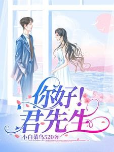 你好!君先生封面
