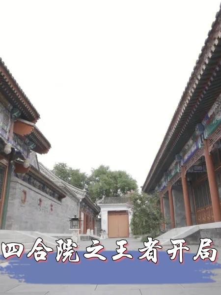 四合院之王者开局封面