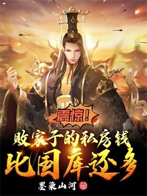 震惊!败家子的私房钱比国库还多封面