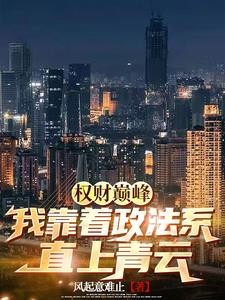 权财巅峰:我靠着政法系直上青云封面