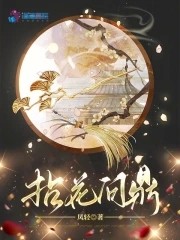 拈花问鼎封面