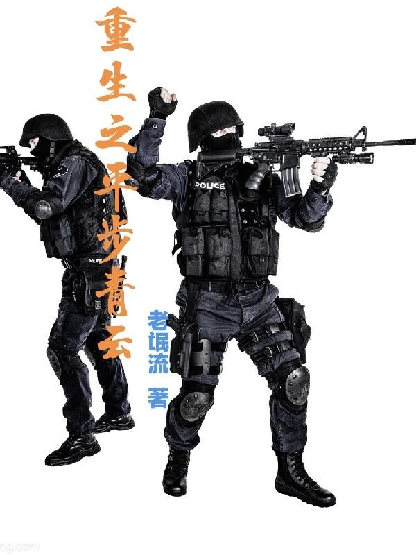 重生之平步青云封面