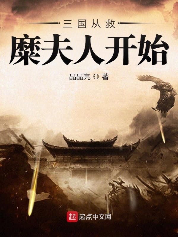 三国从救糜夫人开始封面