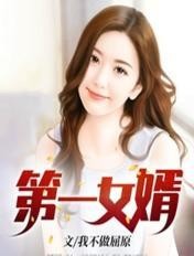 第一女婿封面