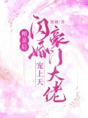 相亲后闪婚豪门大佬宠上天封面