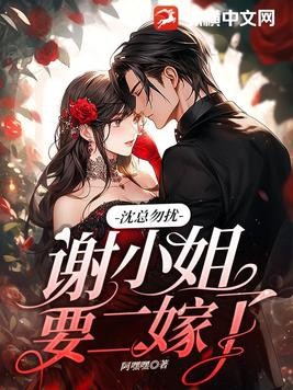 沈总勿扰,谢小姐要二嫁了封面