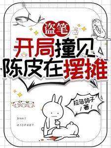 盗笔:从老九门开始的黑心莲封面
