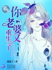 慕少,你老婆又重生了封面