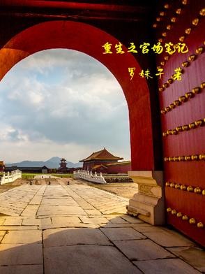 重生之官场笔记封面